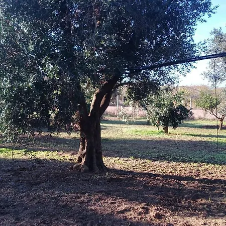 Appartement Casa Epifani